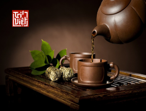 Trà Olong rang là loại trà gì?