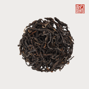 Shan Tuyết Cổ Thụ