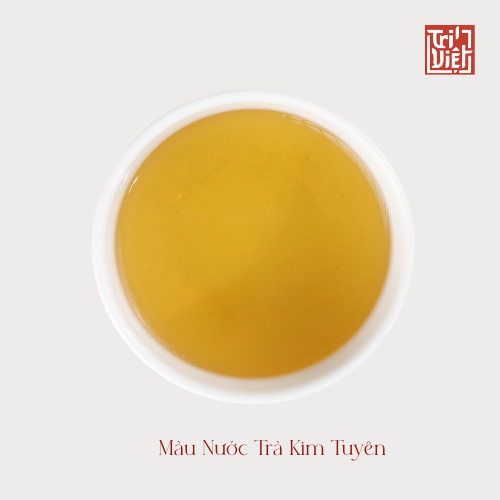 Màu Nước Trà Kim Tuyên 