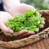 Ngân Kim Tuyết – Vùng nguyên liệu Bảo Lộc nuôi dưỡng những búp trà