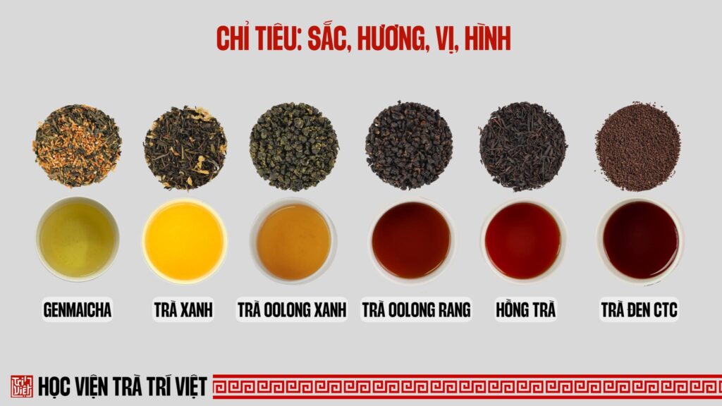 Chỉ tiêu sắc, hương, vị, hình