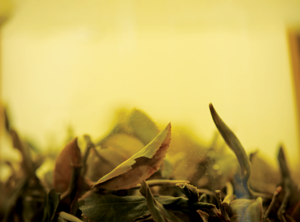 Hành trình giữ nghề