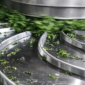 z7524048385365_62640179f092bca9f11441935a62ce4b