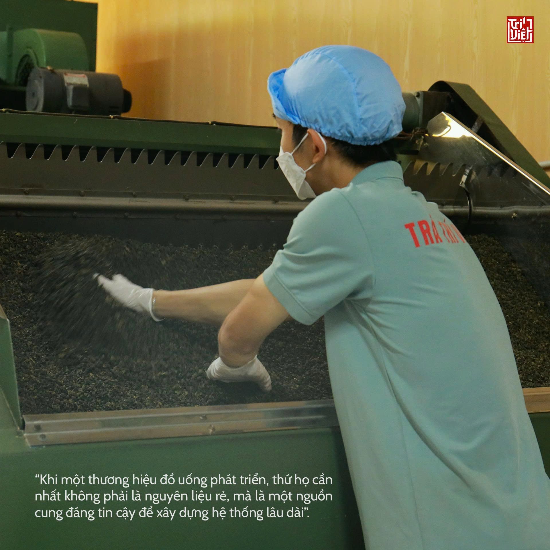 Vì sao phải sấy khô trà? 5 Ảnh hưởng của sấy đến chất lượng trà