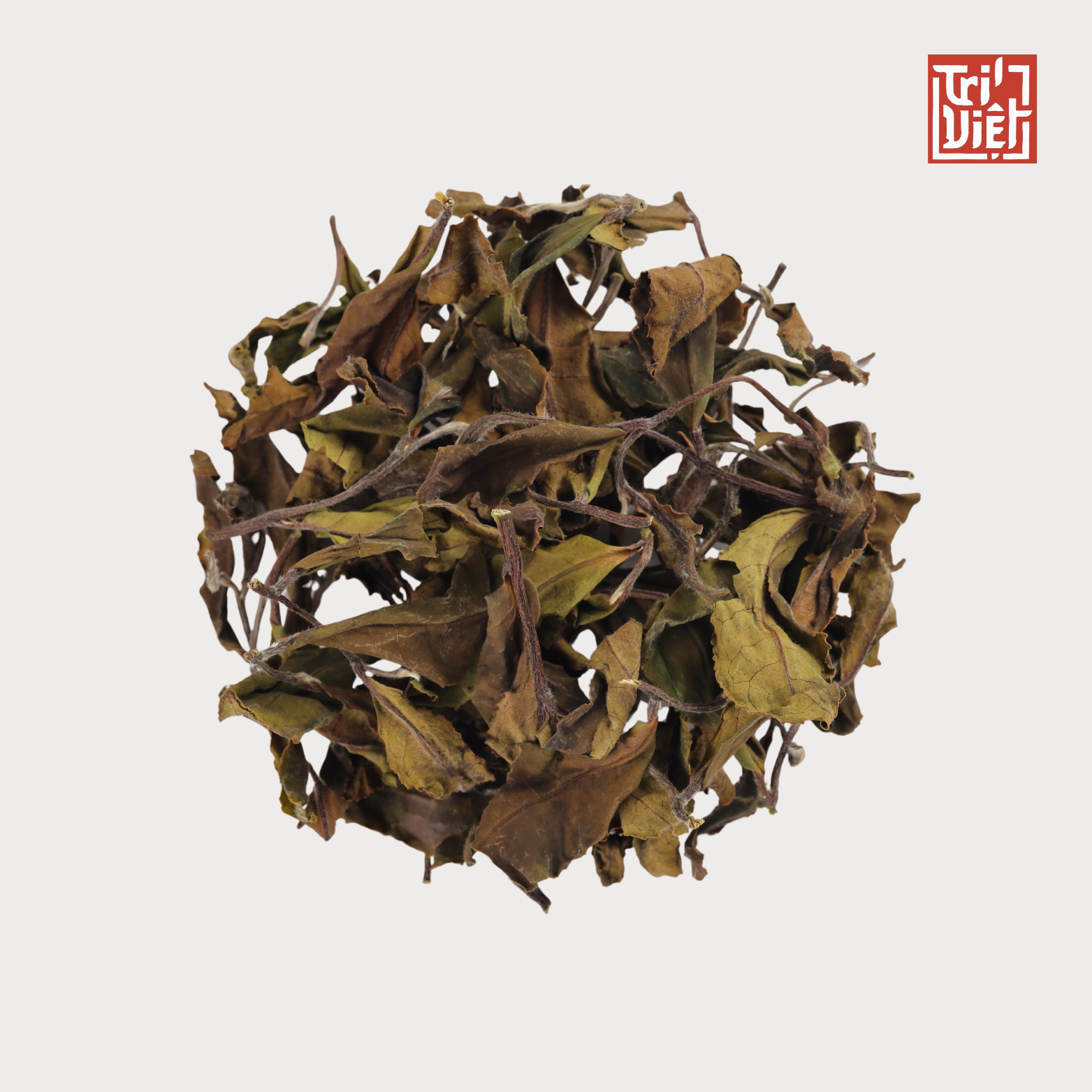 NGÂN KIM TUYẾT - BẠCH TRÀ