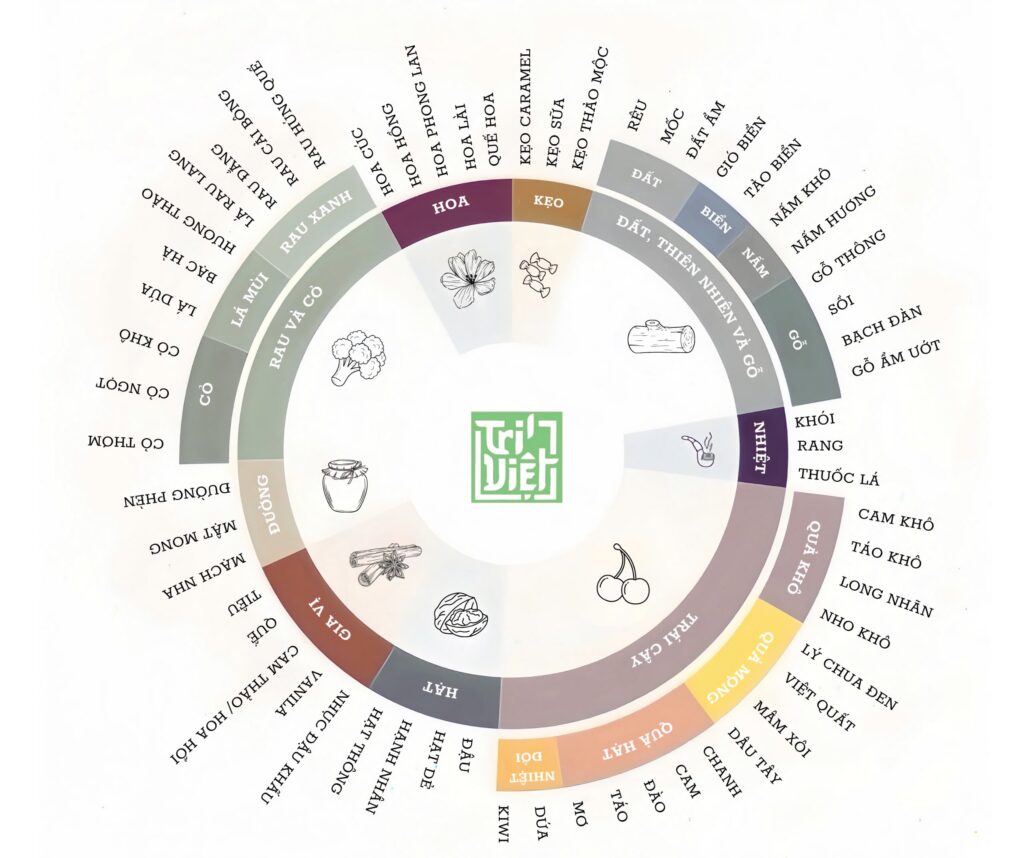 Bánh xe hương vị trà Trí Việt