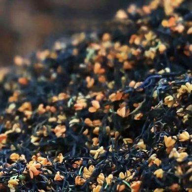 424897b105f67351914d7c3b67f209ae