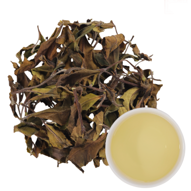 BẠCH TRÀ NGÂN KIM TUYẾT