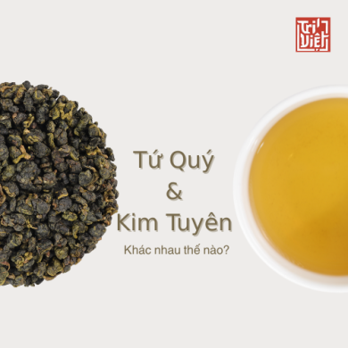 Bản sao của Thiết kế không tên
