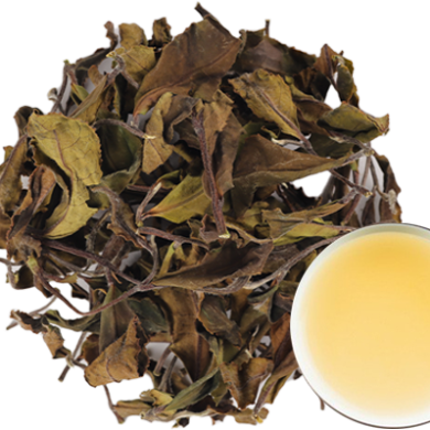 NƯỚC bạch trà