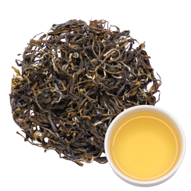 HOÀNG THIÊN MINH - HOÀNG TRÀ